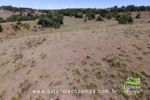 PASSEIO BAIXO E SAIBRE.00_01_38_08.Quadro010_dce83baf7bf4605f1403e226fde45a5f57dd22dc.jpg